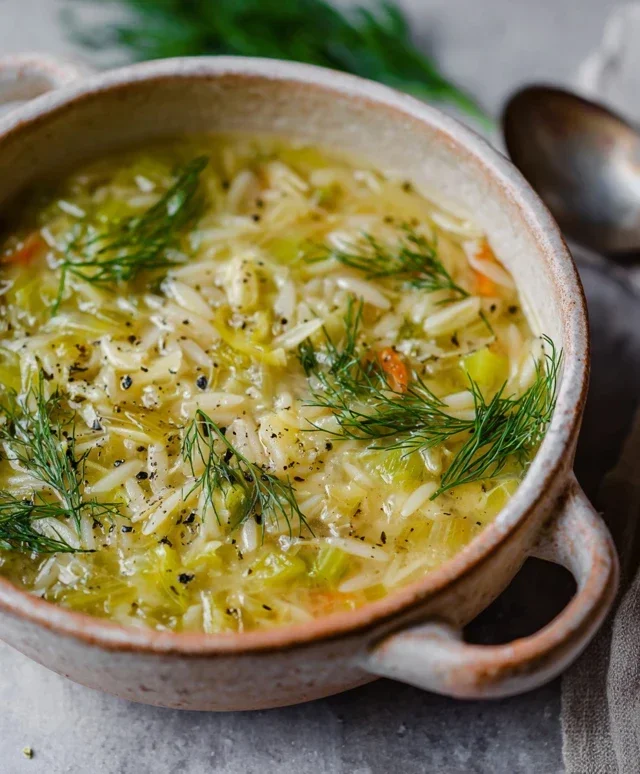 Orzo Leek and Dill Soup