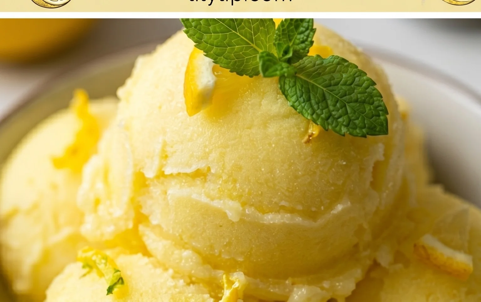 Lemon Sorbet
